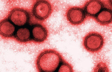 A Influenza e a DII