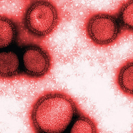 A Influenza e a DII
