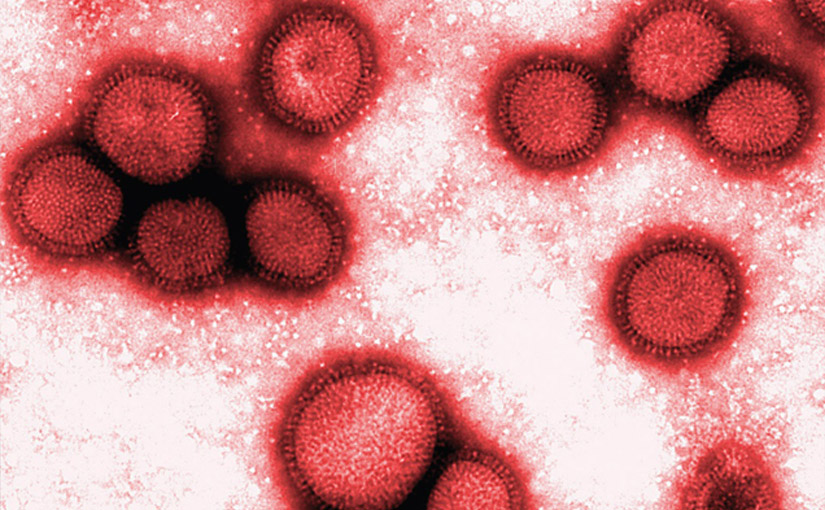 A Influenza e a DII