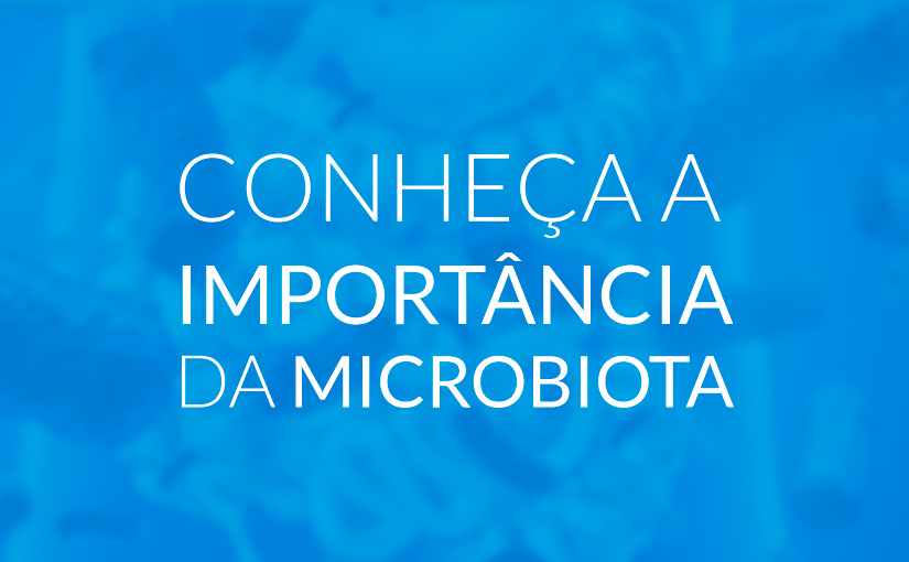 Conheça a importância da microbiota